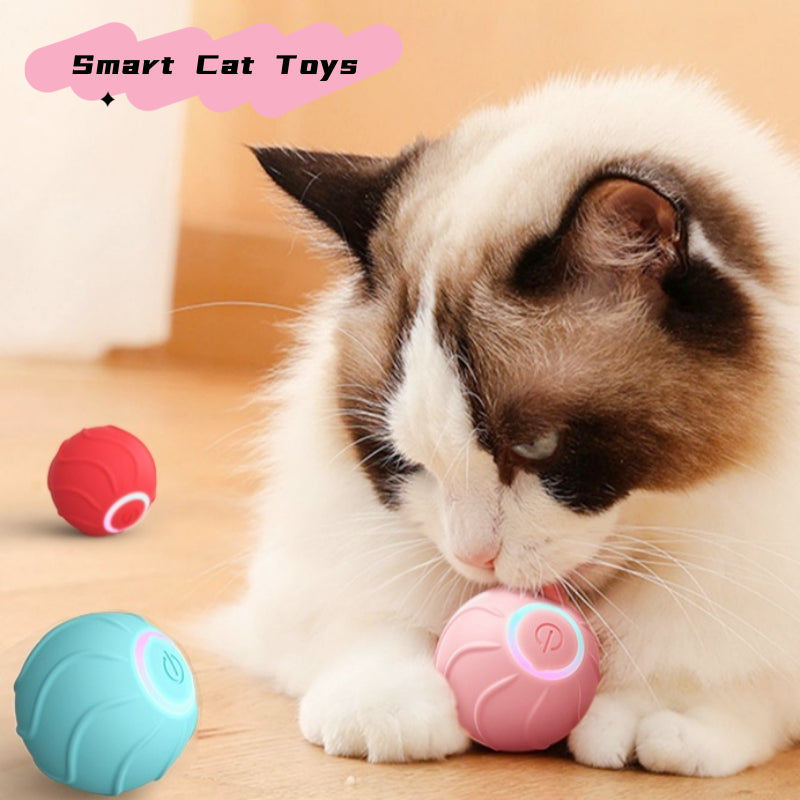 Smart Rolling Ball Cat Toy 2.0